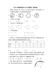 2023年青海省西宁市中考数学一模试卷（含解析）