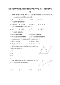 2022-2023学年新疆乌鲁木齐实验学校八年级（下）期中数学试卷（含解析）