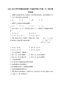 2022-2023学年河南省洛阳第二外国语学校八年级（下）期中数学试卷（含解析）