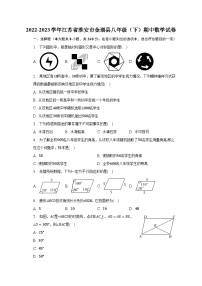 2022-2023学年江苏省淮安市金湖县八年级（下）期中数学试卷（含解析）