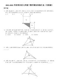 2021-2022年济南各区七年级下数学期末压轴汇总（无答案）