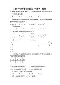 2023年广东省惠州市惠阳区中考数学一模试卷（含解析）