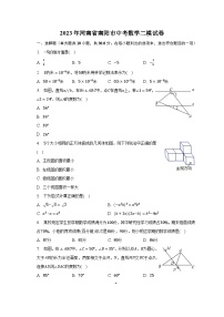 2023年河南省南阳市中考数学二模试卷(含解析）