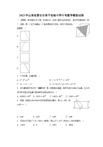 2023年山东省泰安市东平实验中学中考数学模拟试卷(含解析）