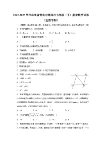 2022-2023学年山东省青岛市莱西市七年级（下）期中数学试卷（五四学制）(含解析）