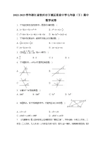 2022-2023学年浙江省杭州市下城区采荷中学七年级（下）期中数学试卷(含解析）
