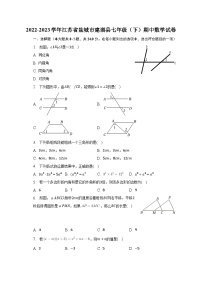 2022-2023学年江苏省盐城市建湖县七年级（下）期中数学试卷（含解析）