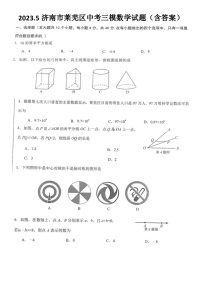 2023.5济南市莱芜区中考三模数学试题（含答案）