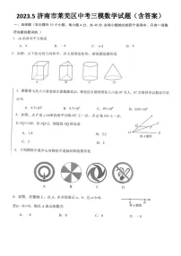 2023.5济南市莱芜区中考三模数学试题(含答案)