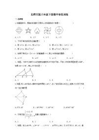 北师大版八年级下册数学期中培优训练（无答案）