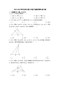 北师大版八年级下册数学期中复习卷（无答案）