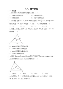 初中数学北师大版八年级下册4 角平分线课时练习