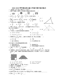 北师大版八年级数学下册 期中综合练习题（无答案）