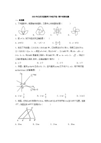 北师大版八年级数学下册 期中检测试题（无答案）