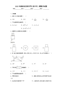 2023年湖南省岳阳市平江县中考二模数学试题(含答案)