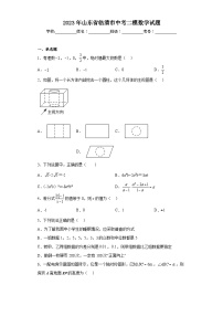 2023年山东省临清市中考二模数学试题(含答案)