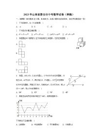 2023年山东省泰安市中考数学试卷（样稿）（含解析）