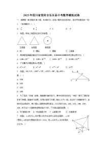 2023年四川省资阳市乐至县中考数学模拟试卷（含解析）