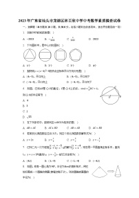 2023年广东省汕头市龙湖区林百欣中学中考数学素质摸查试卷（含解析）