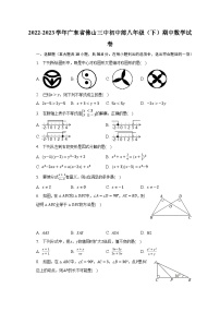 2022-2023学年广东省佛山三中初中部八年级（下）期中数学试卷（含解析）