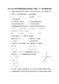 2022-2023学年河南省洛阳市汝阳县八年级（下）期中数学试卷（含解析）