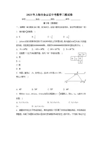 2023年上海市金山区中考数学二模试卷(含解析)