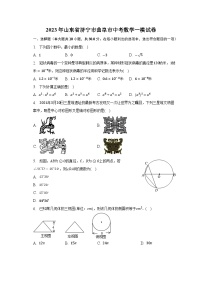 2023年山东省济宁市曲阜市中考数学一模试卷（含解析）