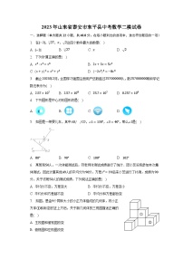 2023年山东省泰安市东平县中考数学二模试卷（含解析）