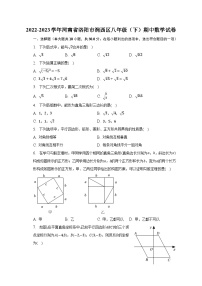 2022-2023学年河南省洛阳市涧西区八年级（下）期中数学试卷（含解析）