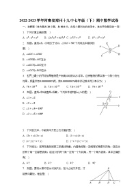 2022-2023学年河南省郑州十九中七年级（下）期中数学试卷（含解析）