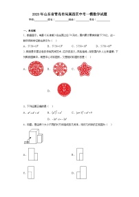 2023年山东省青岛市局属四区中考一模数学试题（含解析）