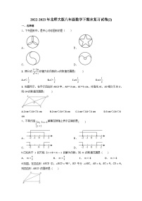 2022—2023学年北师大版八年级数学下册期末复习试卷(2)