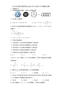 湖南省永州市道县绍基学校2023年九年级+中考模拟数学试题