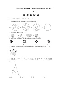 2022—2023学年北师大版八年级数学下册期末仿真试卷A