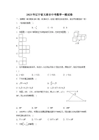 2023年辽宁省大连市中考数学一模试卷(含解析)