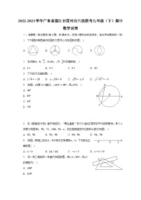 2022-2023学年广东省湛江市雷州市六校联考九年级（下）期中数学试卷（含解析）