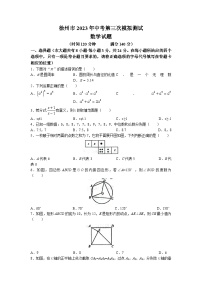 2023年江苏省徐州市树人初级中学中考三模数学试题(无答案)