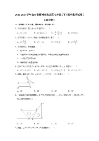 2022-2023学年山东省淄博市张店区七年级（下）期中数学试卷（五四学制）（含解析）