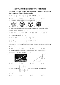 山东省泰安市肥城市2023届九年级中考一模数学试卷