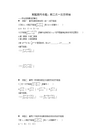 中考训练解题技巧专题：解二元一次方程组专项训练与解析