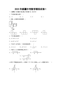 新疆2023届九年级下学期中考模拟数学试卷