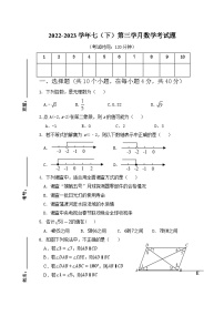 重庆市綦江区赶水中学2022-2023学年下学期七年级第三学月考数学试题