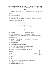 江西省九江市修水县2022-2023学年七年级下学期期中数学试卷+