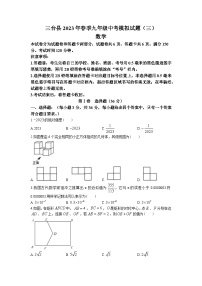 2023年四川省绵阳市三台县中考三模数学试题