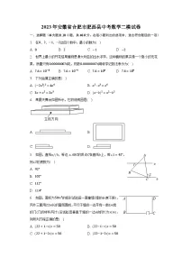 2023年安徽省合肥市肥西县中考数学二模试卷(含解析)
