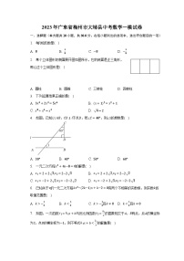 2023年广东省梅州市大埔县中考数学一模试卷(含解析）