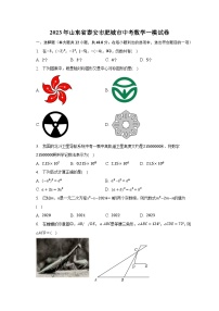 2023年山东省泰安市肥城市中考数学一模试卷(含解析）