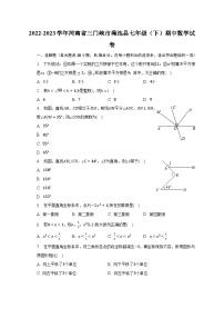 2022-2023学年河南省三门峡市渑池县七年级（下）期中数学试卷（含解析）