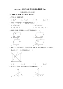 2022-2023学年八年级数学下期末模拟题（三）