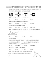 2022-2023学年湖南省邵阳市绥宁县八年级（下）期中数学试卷（含解析）